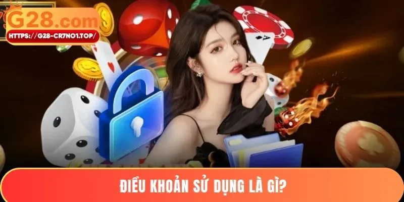 Điều khoản sử dụng là gì?