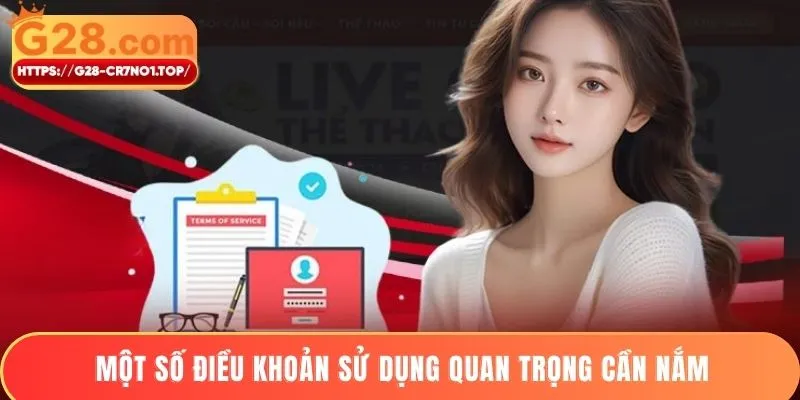 Một số điều khoản sử dụng quan trọng cần nắm