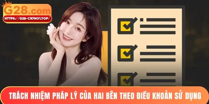 Trách nhiệm pháp lý của hai bên theo điều khoản sử dụng