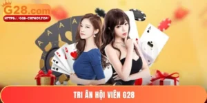 Tri Ân Hội Viên G28